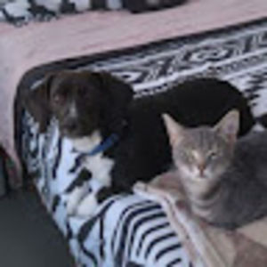 Meet your Posher, Karissa